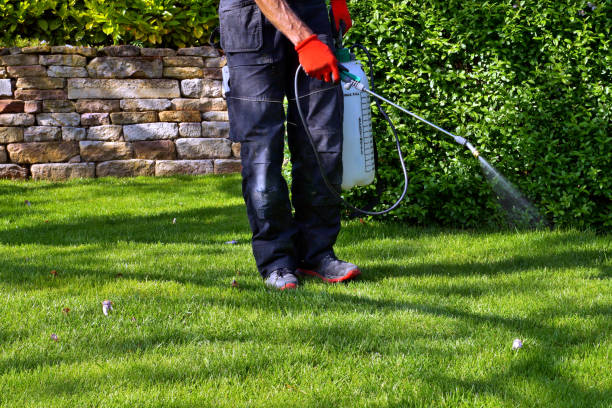 Pest Control for Hotels in Downers Grove, IL